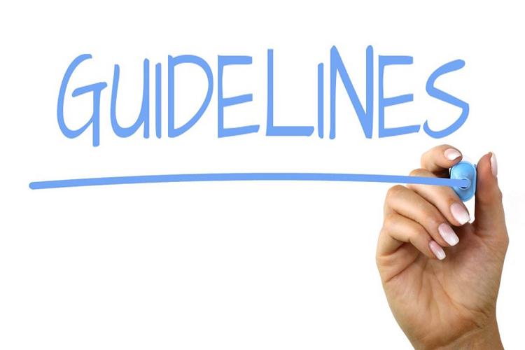 Request for Comments on Draft “Capital Markets and Securities (Corporate and Subnational Sustainability Bonds) Guidelines, 2023